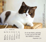 Katzen 2024 - Minikalender