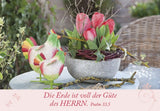 Neujahrslose Garten - 100 Bibelverse