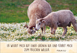 Neujahrslose Hirten & Schafe - Spruchkarten