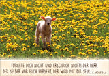 Neujahrslose Hirten & Schafe - Spruchkarten