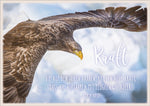 Postkarte Adler / Kraft
